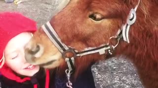 Miniature horse can't stop kissing kid