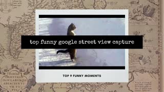 Top funny moments view 2021