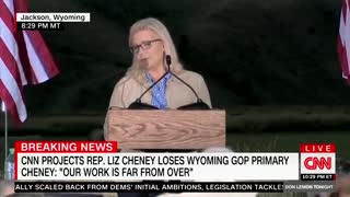 RINO Cheney References President Lincoln During CRAZED Concession Speech