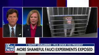 PETA's Senior Vice President tells Tucker Carlson about Fauci's transgender monkey experiments