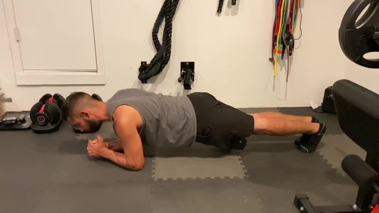 Elbow Plank Alternating Leg Lift 1264