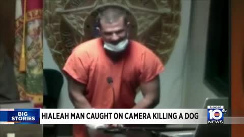 Man Caught on Camera Killing a Dog