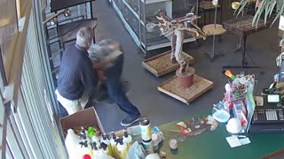 Criminal tries to steal parrot, gets beatdown from 70-year-old shop owner