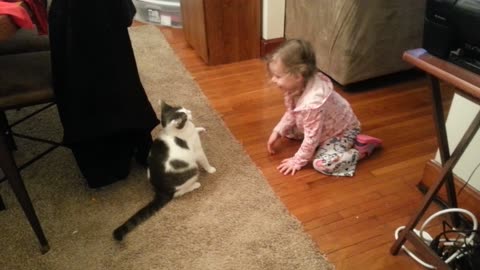 Cat plays tag with toddler