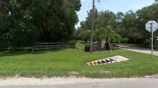 (00104) Part One (P) - Rural Sarasota County, Florida. Sightseeing America!