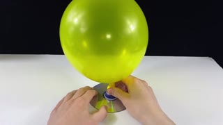 12 Science Experiments Tricks Learn with Fun