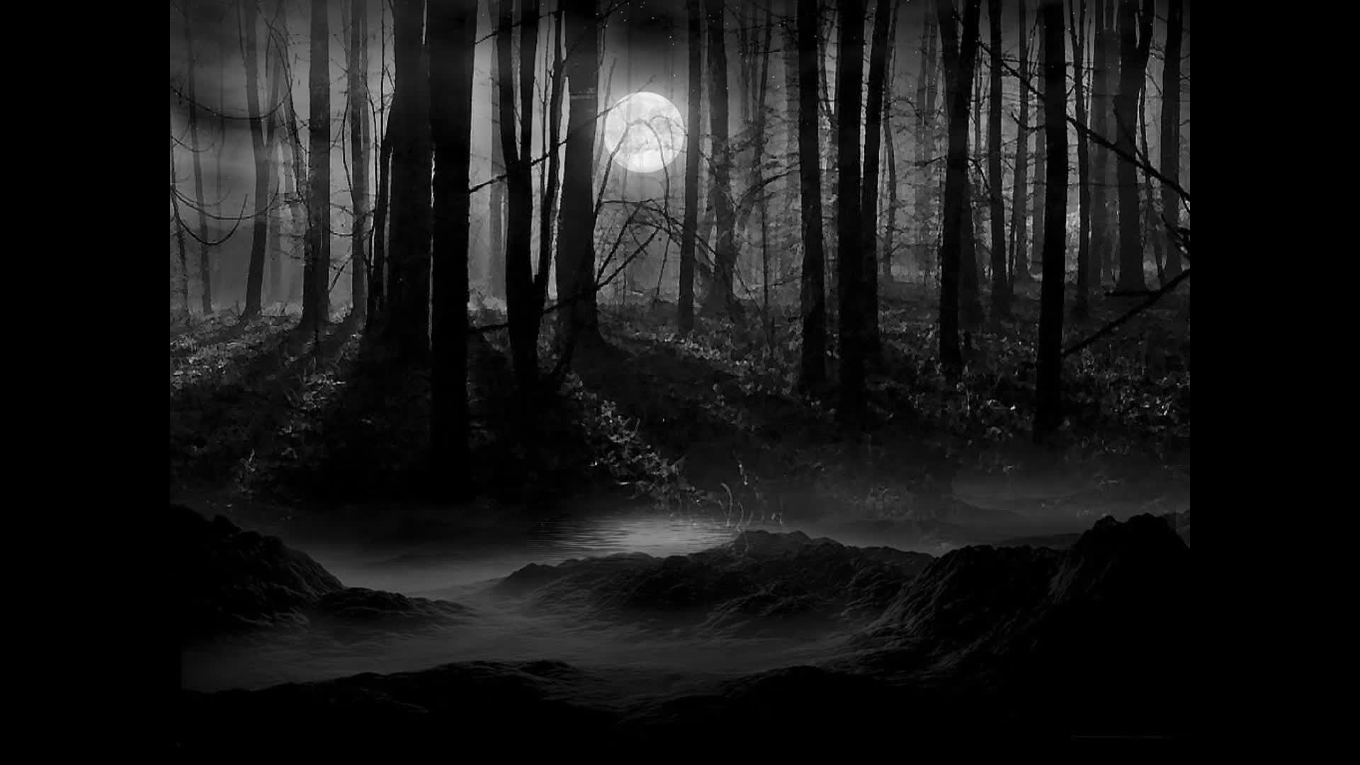 Тихи пруды холод и мрак вод их. Страшный лес ночью. Мрачный лес. Мрачные обои на рабочий стол. Мрачные обои на телефон.
