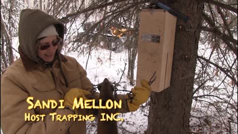 Trapping Inc Season 1 Episode 11 Winter Muskrats