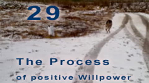 The Positive Process - Chapter 29. Community
