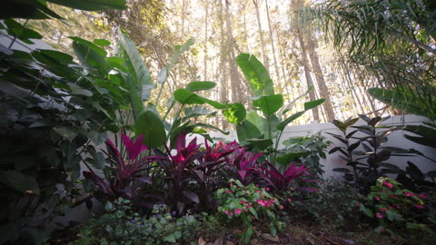 Transforming Dreams into Reality: A Stunning Garden Design Project in St. Johns County, Florida