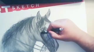 speed drawing horse