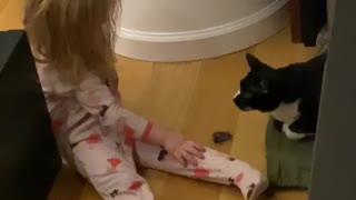 Cat video - baby video - Awesome video