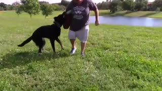 EXTREMELY LEASH HOSTILE GERMAN SHEPHERD ATTEMPTS TO ATTACK DOG!