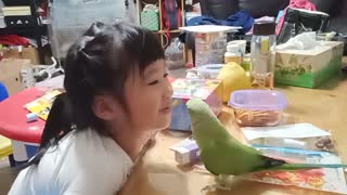Parrot and Little Girl Are The Best Of Friends