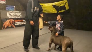 My 4 year old Jackson working with dog