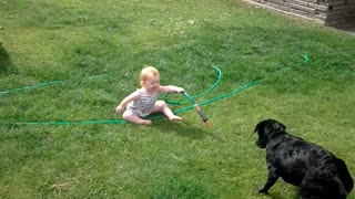 Laughing Baby Plays with Dog with the Hose