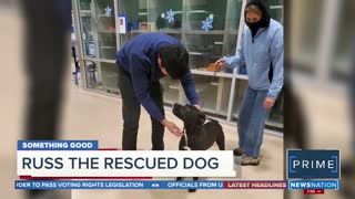 Missing Dog Found, Reunited with Owner 4 Months After Lost at Lake Tahoe
