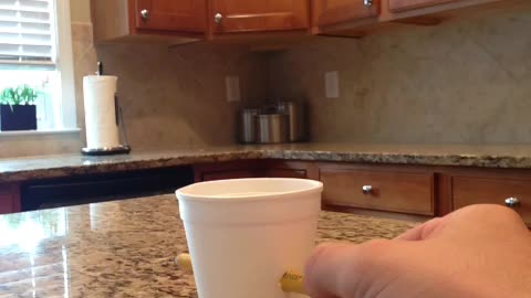 The self-healing styrofoam cup
