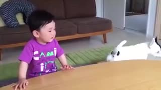 cute baby funny video with a dog