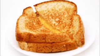 Grilled cheese song