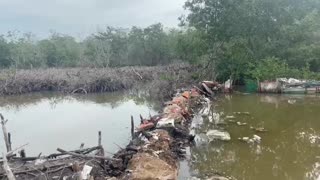 Ecobloque recupera zona de bajamar en La Boquilla