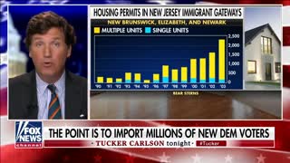 Tucker Carlson Exposes the REAL Reason for Dems Awful Immigration Policy