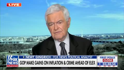 Gingrich on the Democratic Party