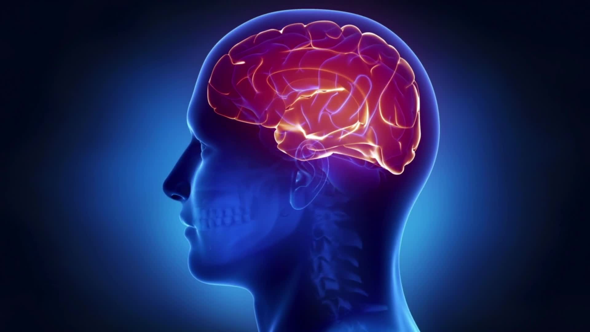 Видео про мозги