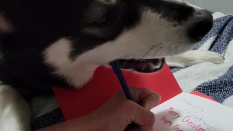 Molson signing his Christmas card