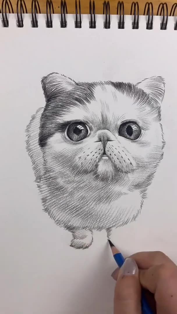 Amazing Pencil Drawing 3D Art Cat 2023