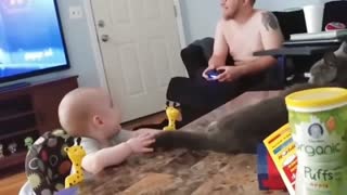Funniest Baby and Cat | Funny Babies - Funny Baby Videos