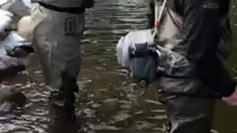 Fly Fishing for a Win