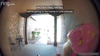 little girl gets away from bobcat and runs to her nabor