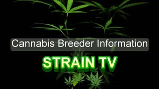 Advanced Seeds - Cannabis Strain Series - STRAIN TV
