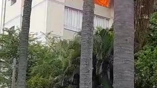 Florida Road Fire
