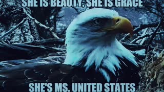 Miss united states