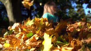 Leaves - for your video editing 3