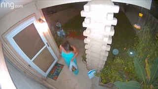 Halloween Trick or Treat Package Thief