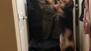 Ecstatic Dog Welcomes Home Owner Returning From Deployment