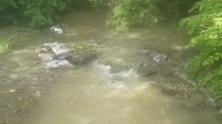 Randon Nature Videos/Vlogs (Part 2)