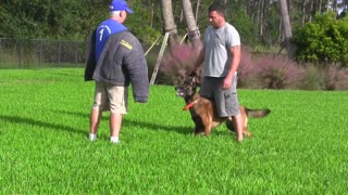 Guard Dog Training - How to