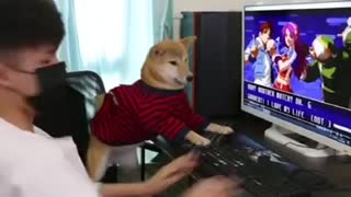 Funny video - Gaming dog Street Fighter