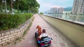 Little boy and his dog go for a relaxing car ride