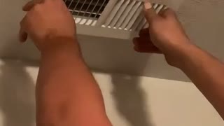 Helping a Cat Out of a Vent