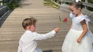 Sweet little boy gets down on one knee to give girl a rose
