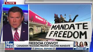 Fox News' Bret Baier reports on the trucker convoy making its way to Ottawa