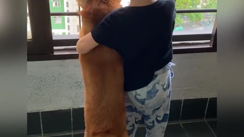Dog and his little friend look out the window