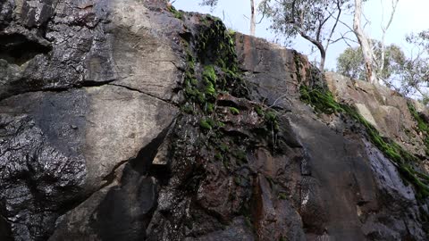 Waterfall begins trickling over the moss-covered cliff after winter rains