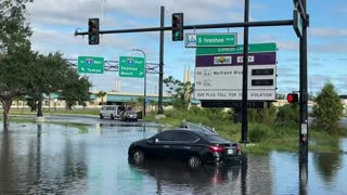 Un cocodrilo nada en las inundaciones causadas por Ian en Florida