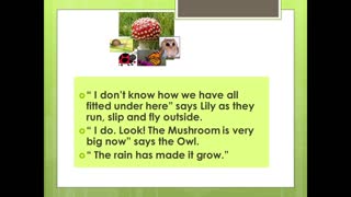 How Much Room does a Mushroom Have// children story//Moral story